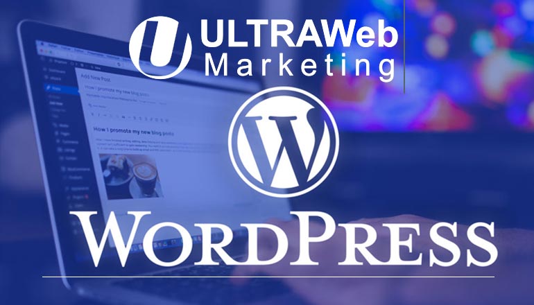 WordPress Web Design Experts in Boca Raton